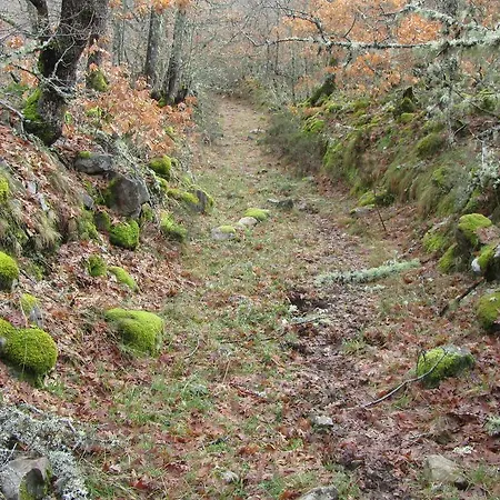 Turisticos Cabrera * Tejedo de Ancares