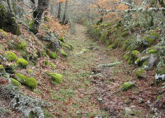 Turisticos Cabrera * Tejedo de Ancares
